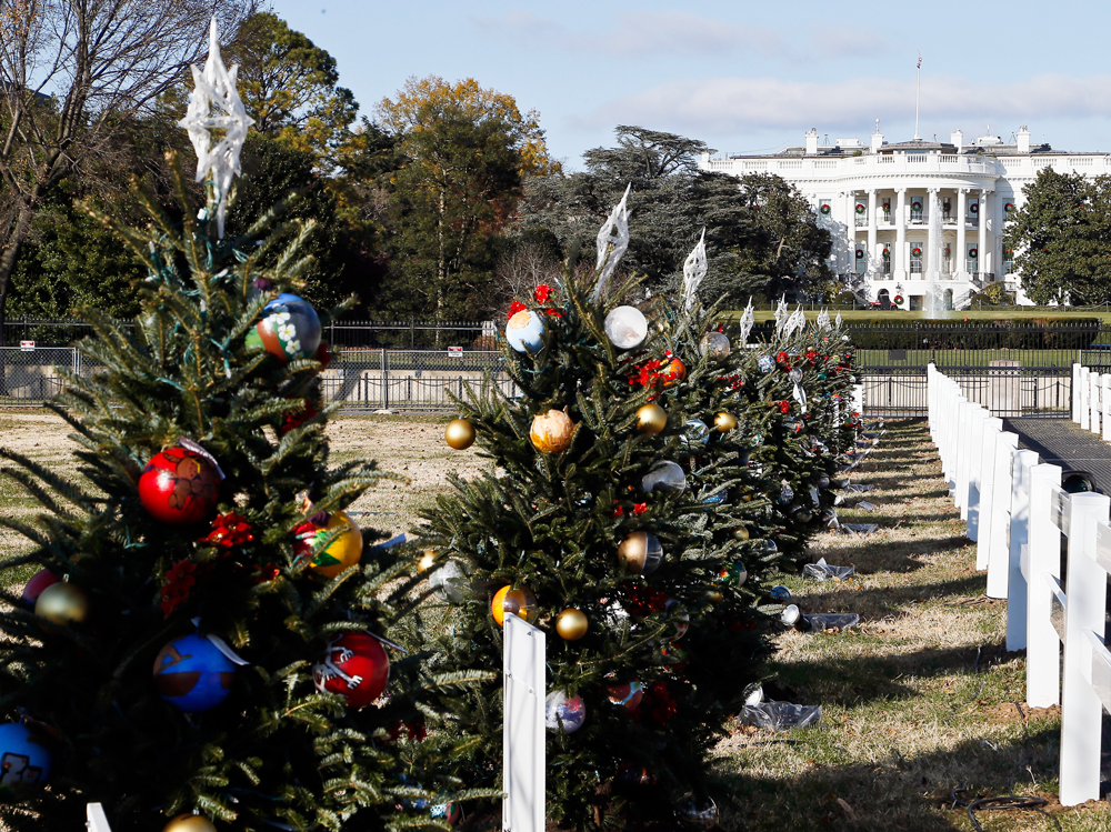 Christmas Trees